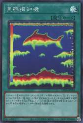75667 B