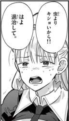 44074 B