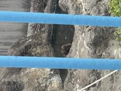 1672664 B
