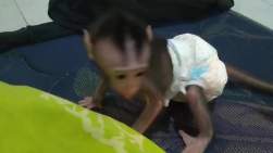6663375 B