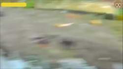 5972882 B
