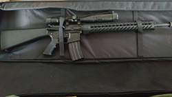 231585 B