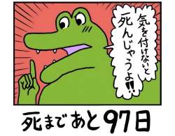 78994 B