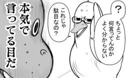 86077 B