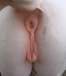 118656 B