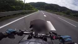 4259333 B