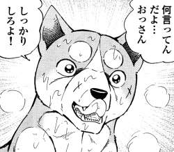 325964 B
