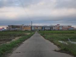 145664 B