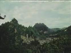 8100988 B
