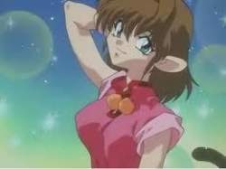 7036 B