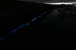 5386820 B