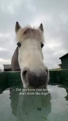 3295812 B