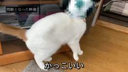 2045140 B