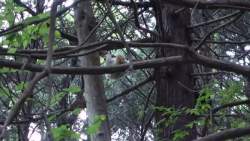 7352558 B
