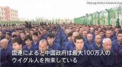 25087 B