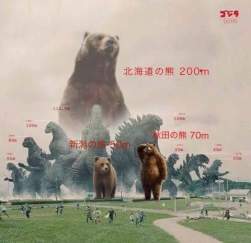 50116 B