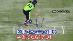 243314 B