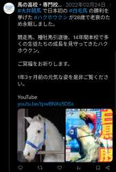 850608 B