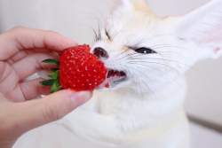 61349 B