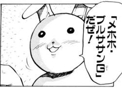 55536 B