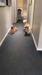 713062 B