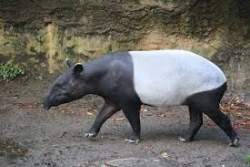 10032 B