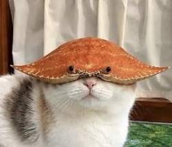 13673 B