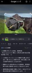785783 B