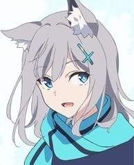 20664 B