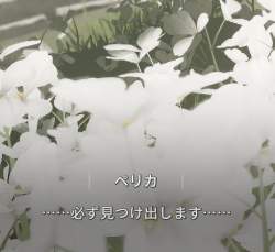 247229 B