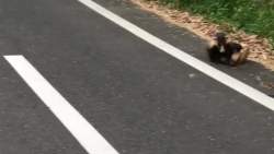 6299772 B