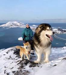 166962 B