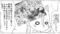 223448 B