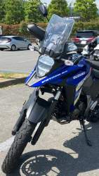 1037009 B