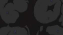 7892344 B