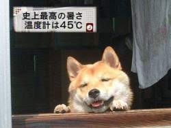 23134 B