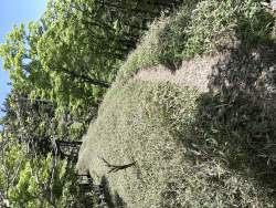 6329793 B