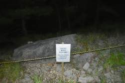1347631 B