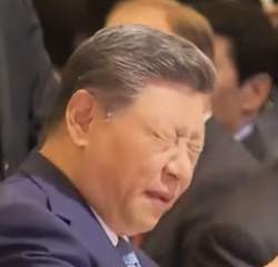 41386 B