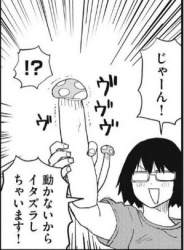 43461 B