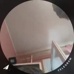 733582 B