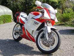 559504 B