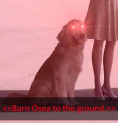 14228 B