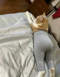 82373 B