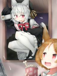 294079 B
