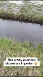 2149130 B