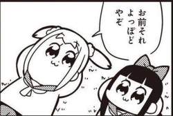 239261 B