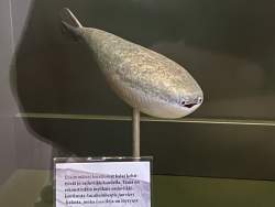 356918 B