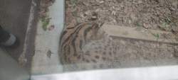 3587078 B