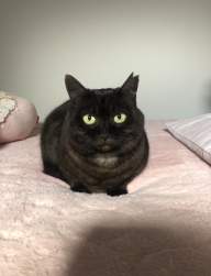 1624293 B